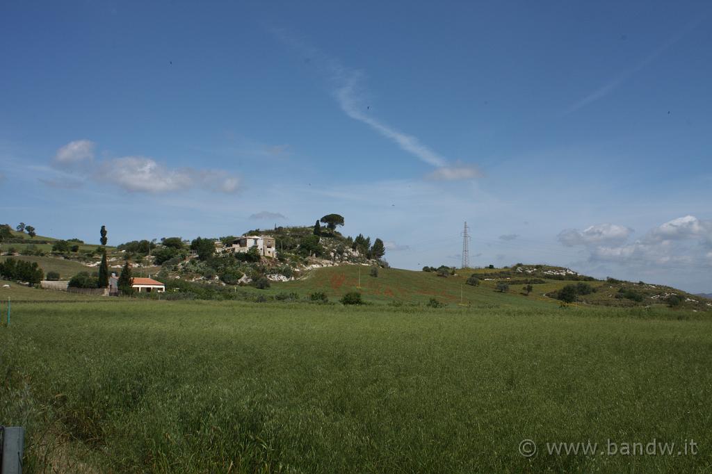 Caltagirone_022.JPG - Lungo la SS124 nei pressi di San Michele di Ganzaria