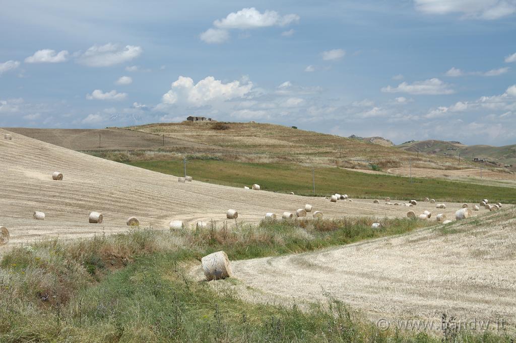 SS192_008.JPG - Lungo la SS192 - I colori della Sicilia