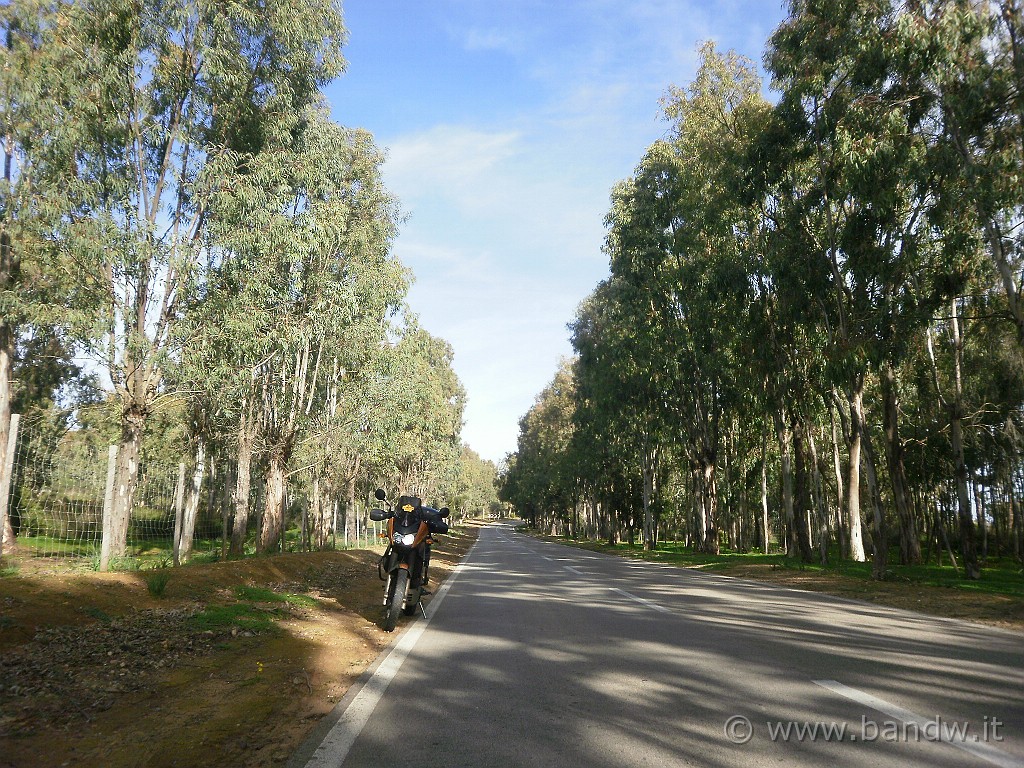 Motovagando_036.JPG - Altra sosta nei pressi di Caltagirone