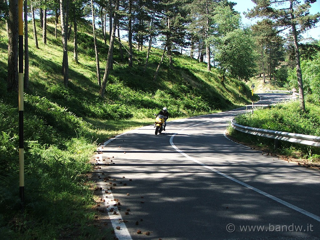 Nebrodi_Tour_007.JPG - Adesso scendiamo dalla SS185 e ci gustiamo la natura