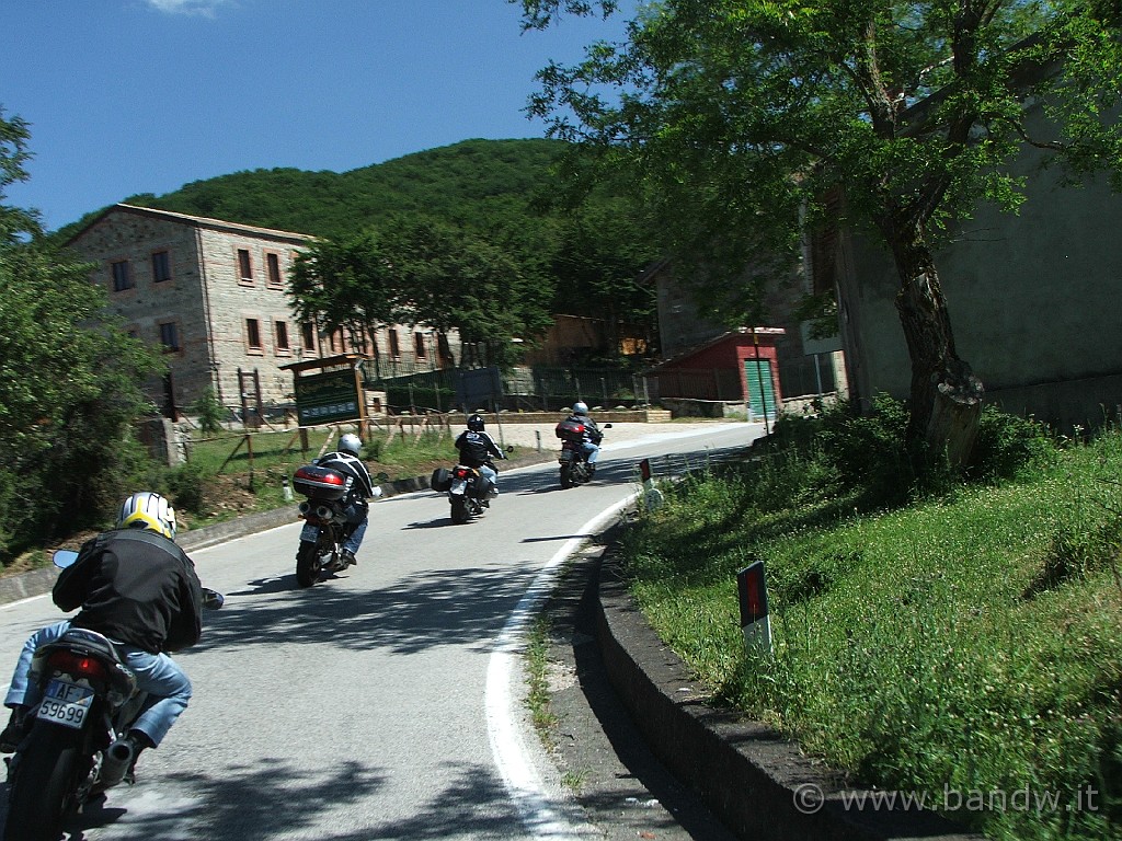 Nebrodi_Tour_082.JPG - Risaliamo dall SS289