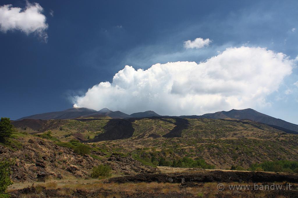 Oggi Etna_013.JPG - L'Etna, le colate laviche e la sua vegetazione