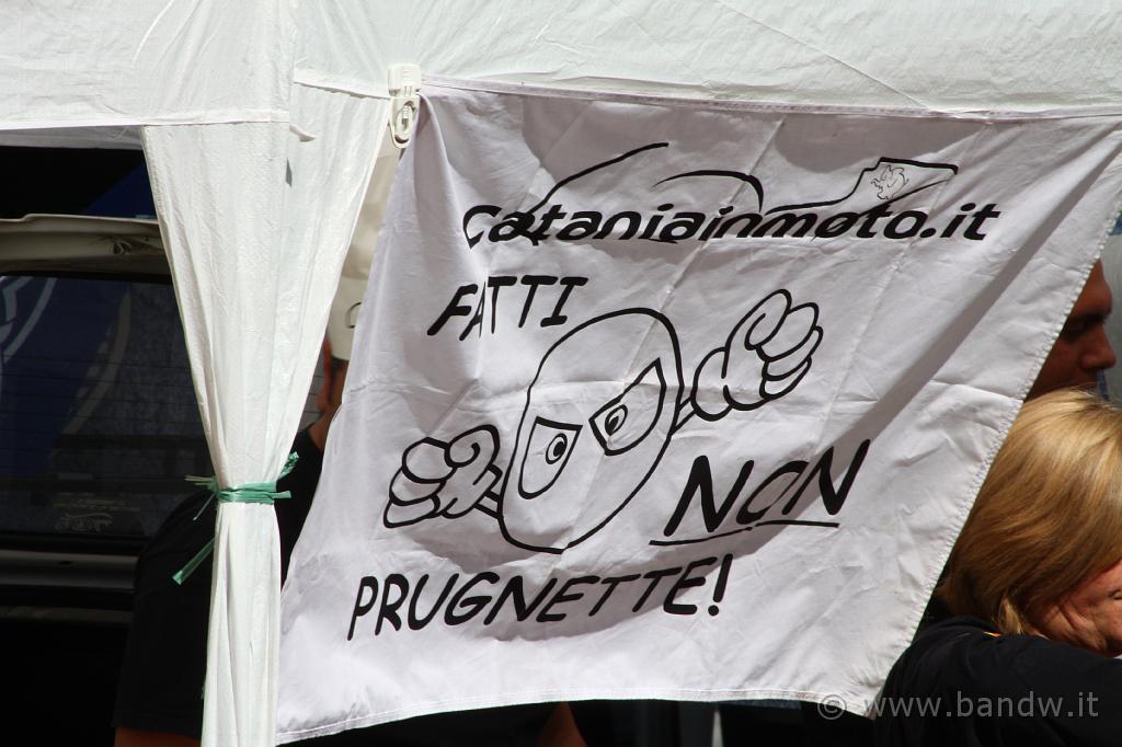 ProvenzanaDay2008_226.JPG