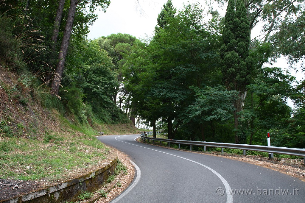 Sicilia_Tirrenica_194.JPG - Lungo la SS113 nei pressi di San Nicolò sui Peloritani