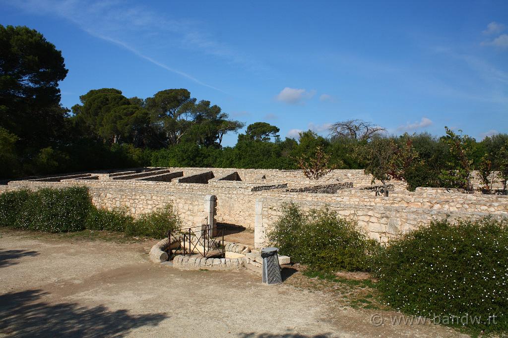 Castello di Donnafugata_033.JPG - Donnafugata (RG) - Il Giardino del Castello - Il Labirinto