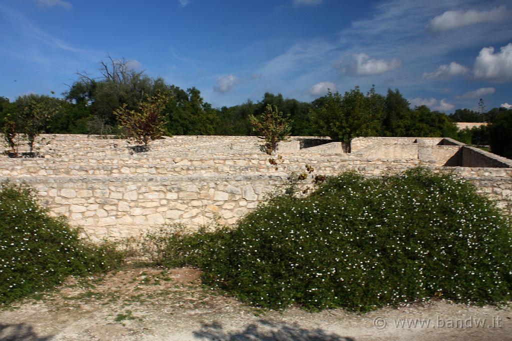 Castello di Donnafugata_034.JPG - Donnafugata (RG) - Il Giardino del Castello - Il Labirinto