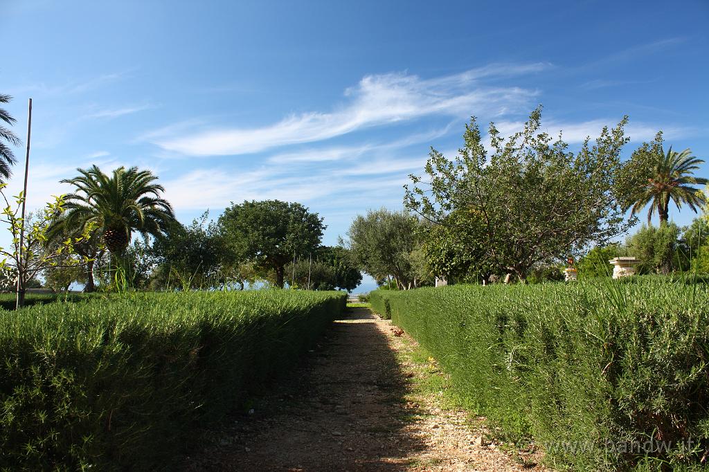 Castello di Donnafugata_049.JPG - Donnafugata (RG) - Il Giardino del Castello -