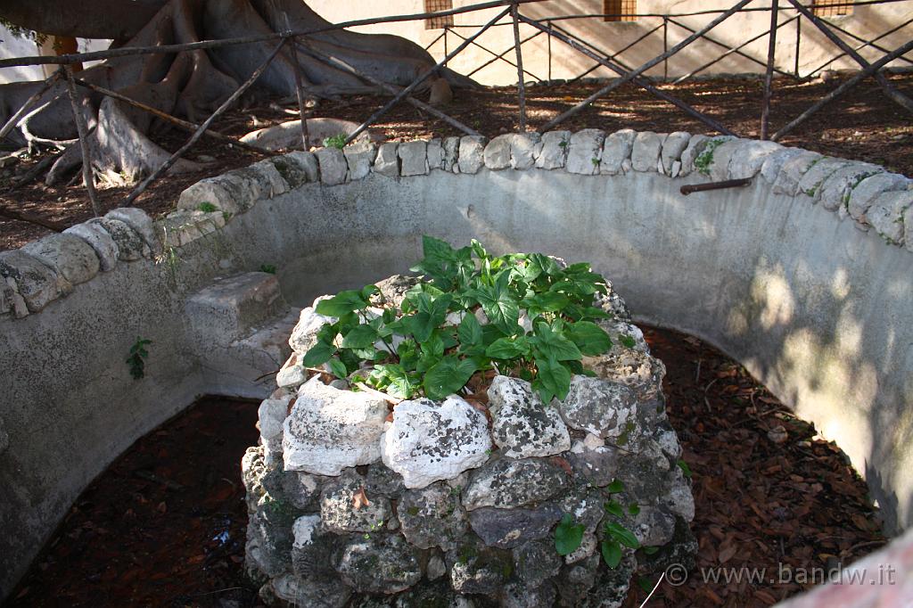 Castello di Donnafugata_055.JPG - Donnafugata (RG) - Una delle tante piccole piscine del giardino -