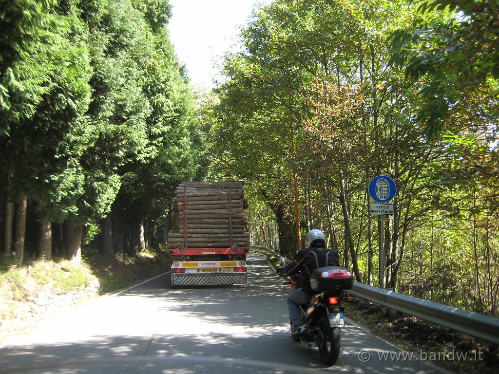 Motostaffetta2007(260).JPG - Un camion carico di legname, ma ... (foto di Gold Wing)